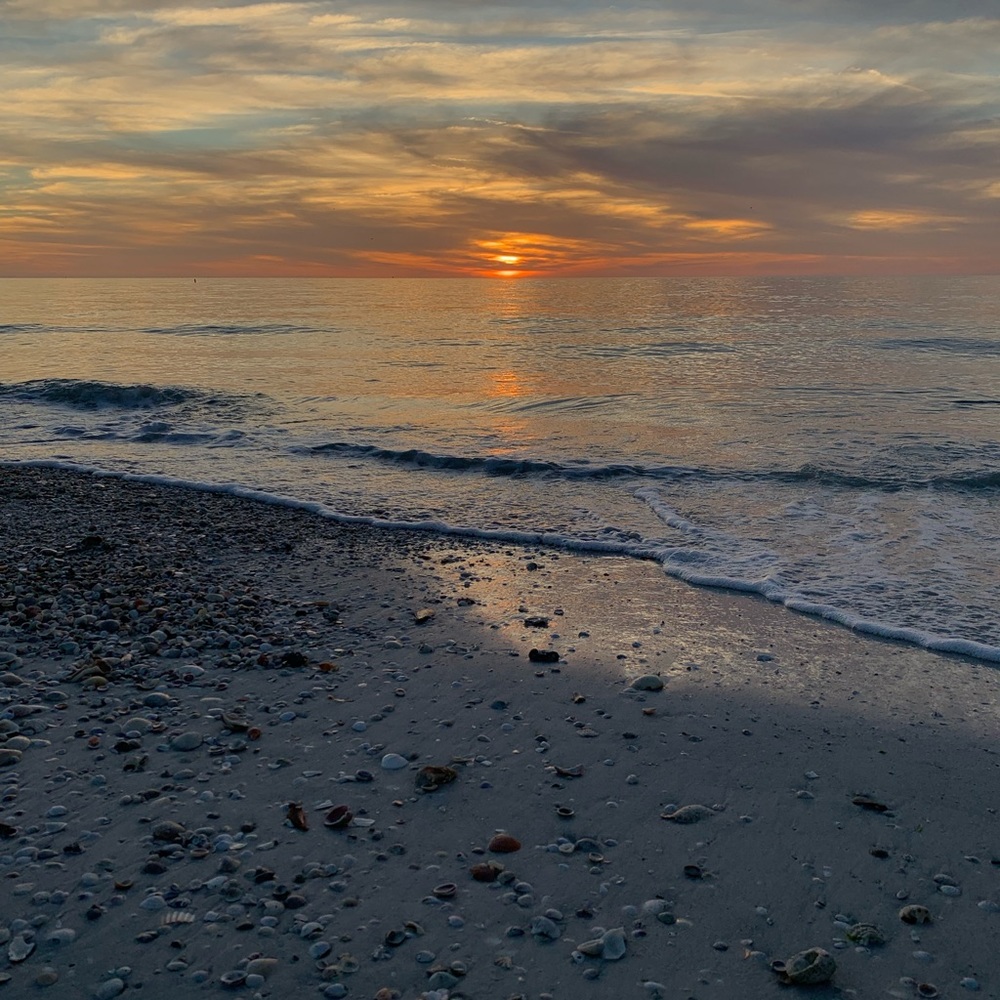 Meet your Posher, Devanie